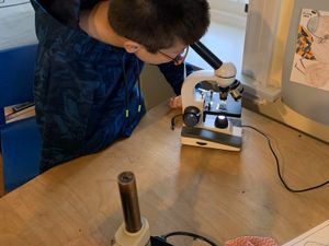 Students looking at water samples 2